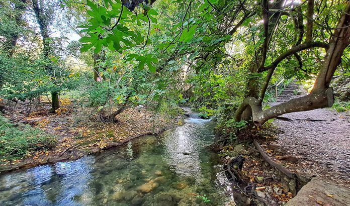 La Junta impulsa las actividades ecoturísticas de verano en los espacios naturales de Andalucía