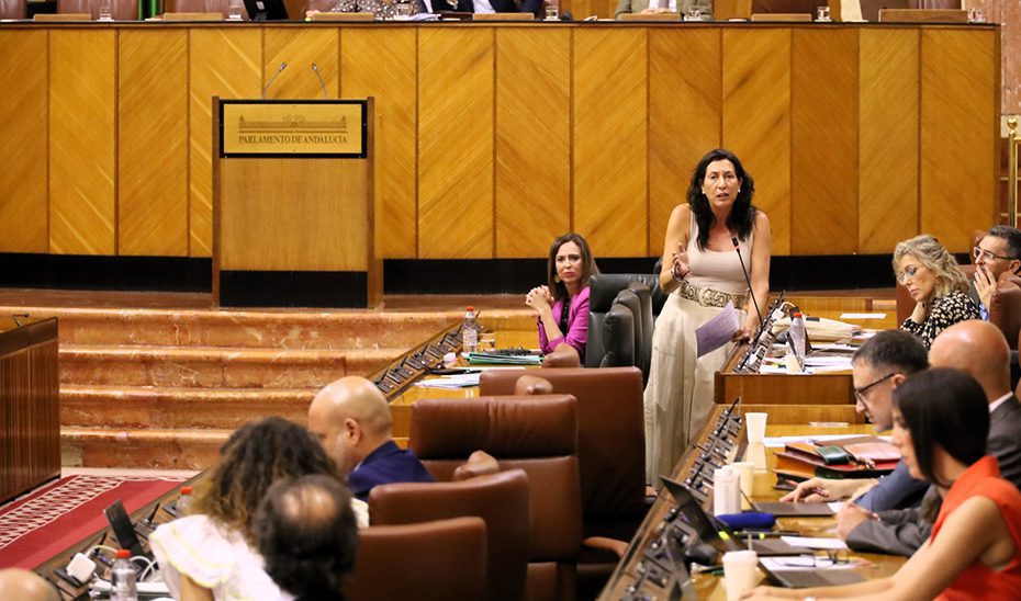 Andalucía asume 7 de cada 10 euros y reclama al Ejecutivo que sufrague el 50% de la dependencia