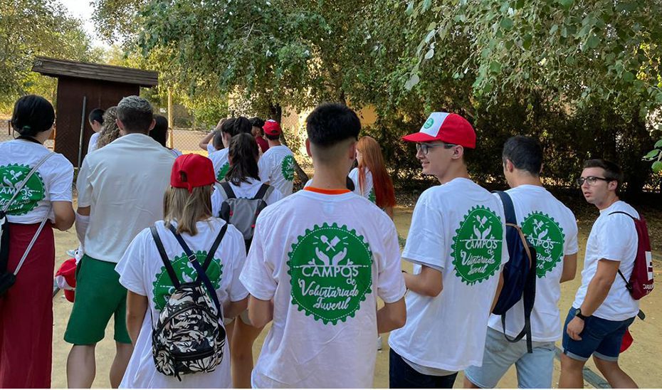 Andalucía adapta el Registro de Entidades de Voluntariado a las nuevas realidades y tecnología
