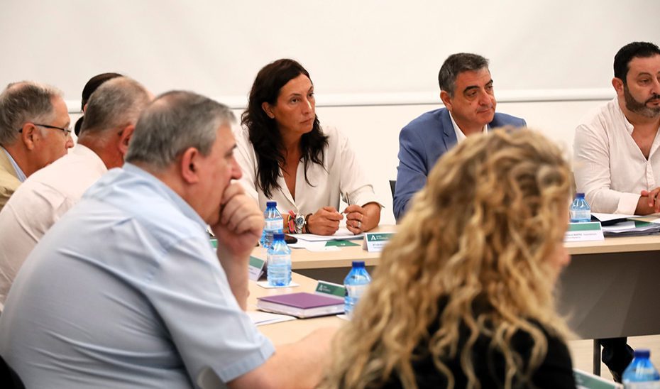La Junta reclama al Gobierno que declare la emergencia migratoria y vincule a la Unión Europea