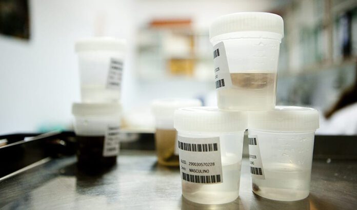 Así funciona el Registro Andaluz de Donantes de Muestras: 3.400 personas al servicio de la investigación biomédica