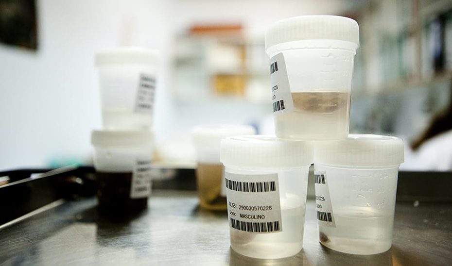 Así funciona el Registro Andaluz de Donantes de Muestras: 3.400 personas al servicio de la investigación biomédica