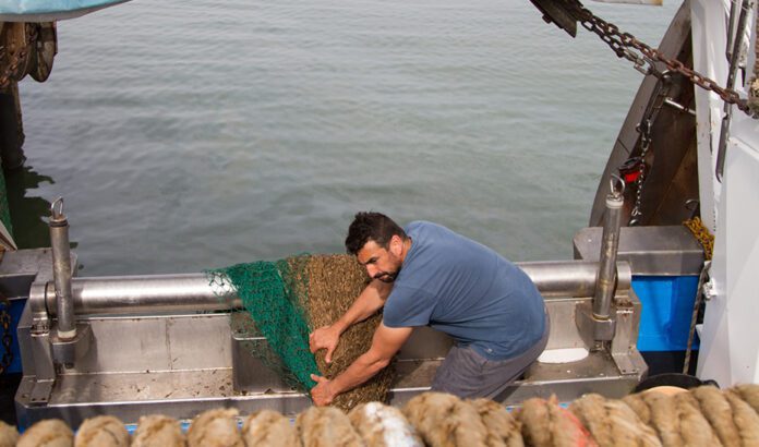 La CE aprueba el Plan de Gestión para la pesca artesanal de la draga en el litoral mediterráneo