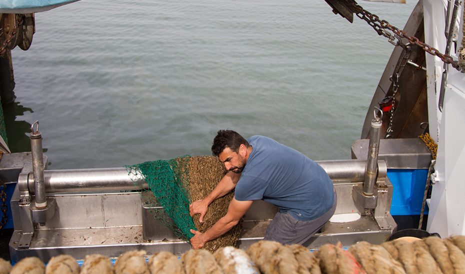 La CE aprueba el Plan de Gestión para la pesca artesanal de la draga en el litoral mediterráneo