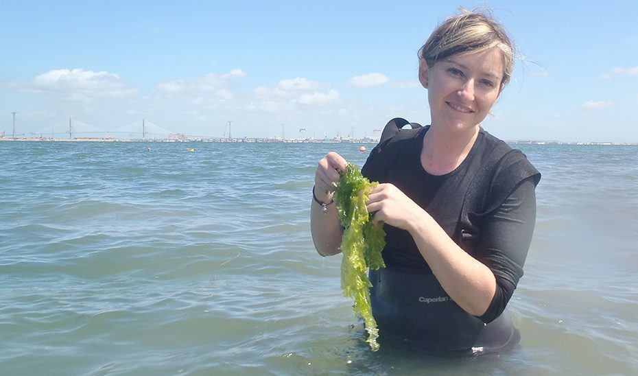 Investigaciones de la UCA detectan que la estación del año determina los nutrientes de la lechuga de mar
