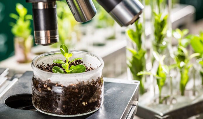 La Junta encarga la redacción del proyecto del ‘Smart Green Cube’ en el Parque Científico-Tecnológico de Almería
