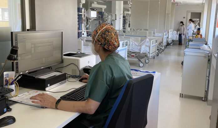 Investigadores de la UJA identifican un compuesto del olivo que mejora la recuperación tras un ictus