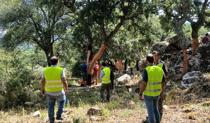La Junta revalida la certificación en gestión forestal sostenible en 60.433 hectáreas de monte público