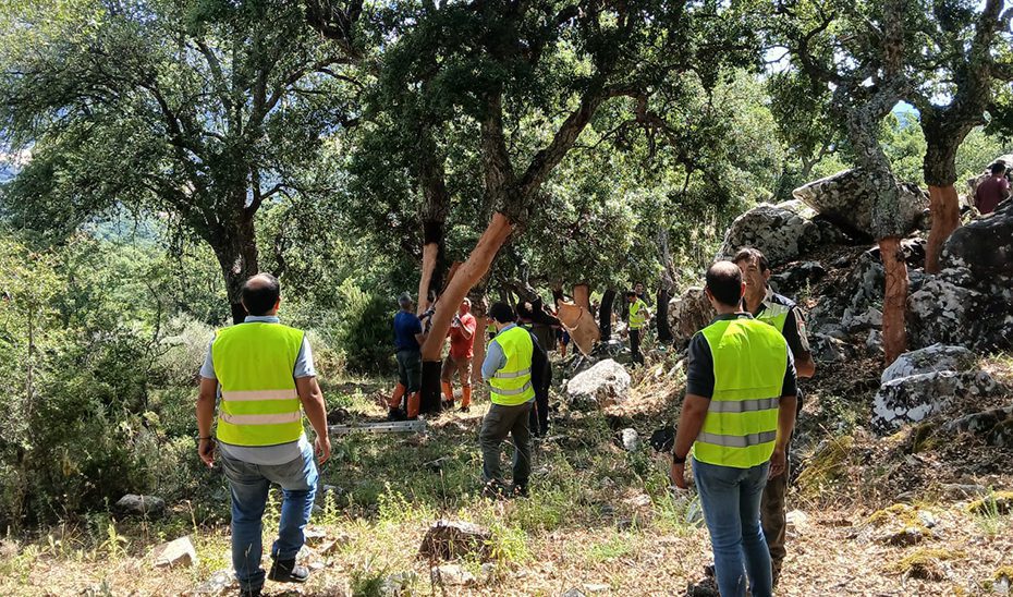 La Junta revalida la certificación en gestión forestal sostenible en 60.433 hectáreas de monte público