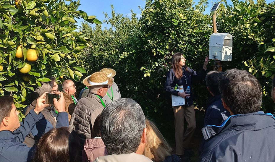 El proyecto ‘DemoFarm Andalucía’, candidato a los premios europeos de Inspiración Agraria y Rural