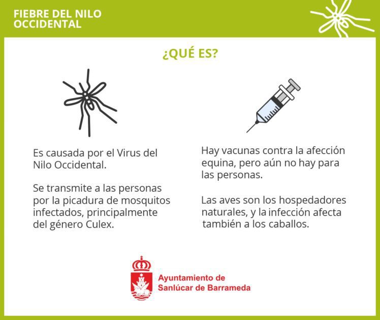 El Ayuntamiento de Sanlúcar informa sobre cómo prevenir el Virus del Nilo Occidental
