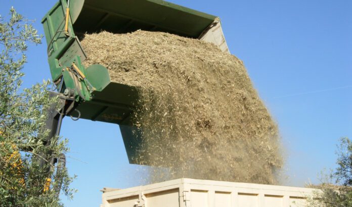 La Junta impulsa en Jaén a través de la UAP una planta para producir biocombustibles de alperujo