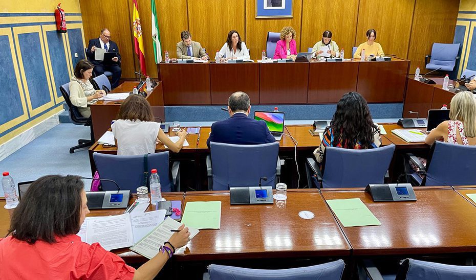 El Gobierno andaluz crea 60 puestos de trabajo estructurales en los centros de valoración de la discapacidad