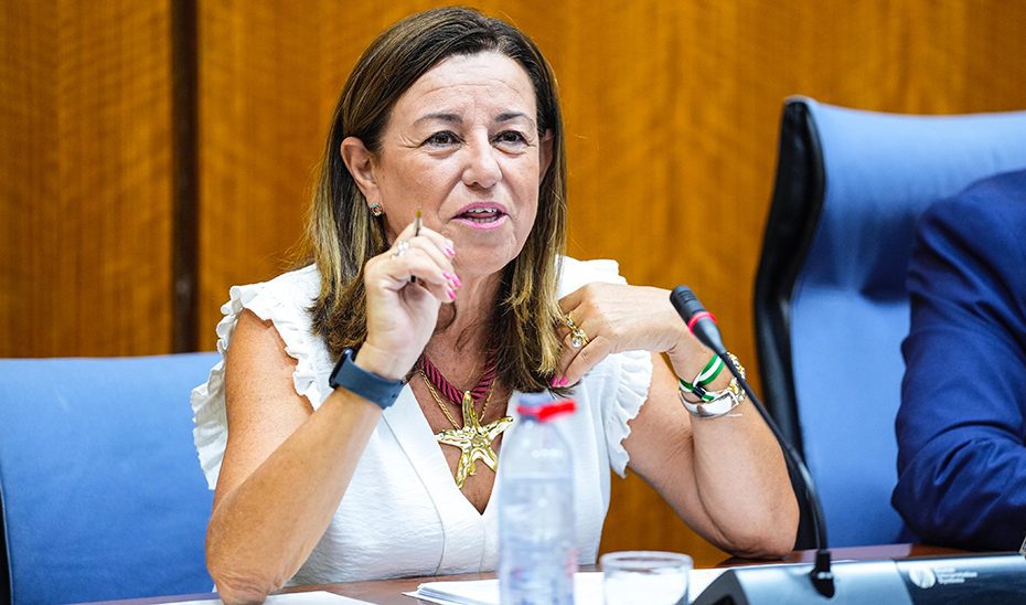 La Junta estudia medidas para simplificar la carga burocrática de los docentes