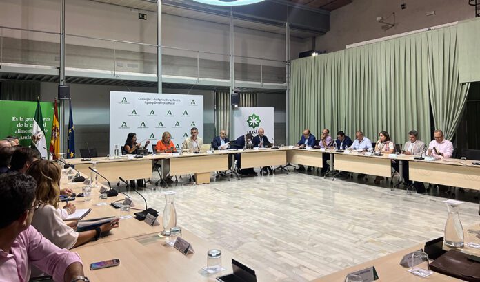 Andalucía reclamará al Gobierno central más fondos para pesca y cuotas más altas de atún rojo