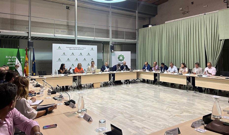 Andalucía reclamará al Gobierno central más fondos para pesca y cuotas más altas de atún rojo