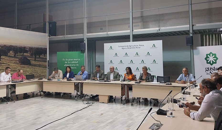 Andalucía prevé una producción de 2,2 millones de toneladas de cítricos en la campaña 2024-2025