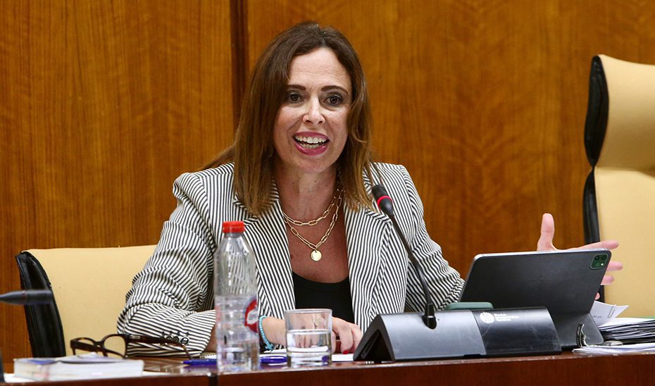 Casi 1.200 jóvenes adquieren su vivienda con el aval hipotecario de la Junta en su primer año en vigor