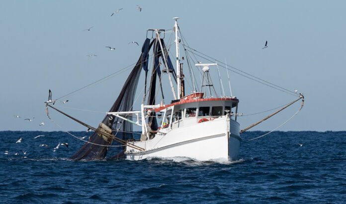 La Junta denuncia que el reparto de la cuota adicional de sardina “castiga” a la flota del Golfo de Cádiz