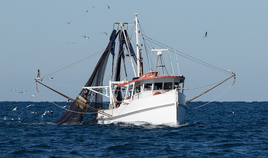 La Junta denuncia que el reparto de la cuota adicional de sardina “castiga” a la flota del Golfo de Cádiz