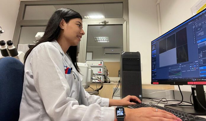 Investigadores andaluces participan en un estudio celular para frenar el desarrollo de tumores cancerosos
