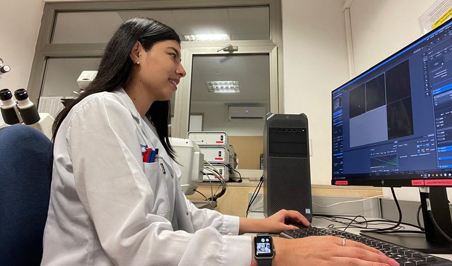 Investigadores andaluces participan en un estudio celular para frenar el desarrollo de tumores cancerosos
