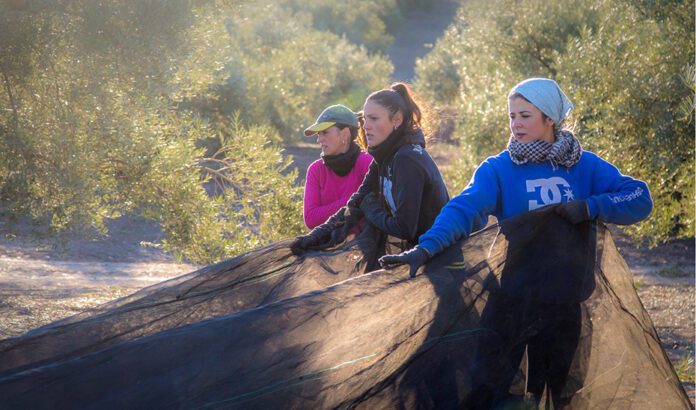 Andalucía impulsa el papel de la mujer en el medio rural y pesquero con un proyecto de ley de su Estatuto