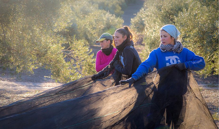 Andalucía impulsa el papel de la mujer en el medio rural y pesquero con un proyecto de ley de su Estatuto