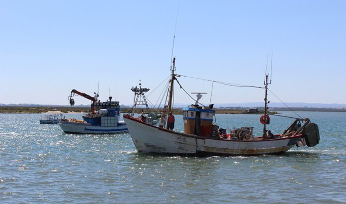 La Junta aumenta en medio millón de euros las ayudas para la pesca de arrastre del Mediterráneo
