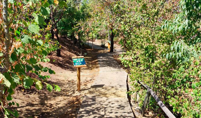 El Jardín Botánico El Robledo aumenta un 10% las especies catalogadas desde 2018