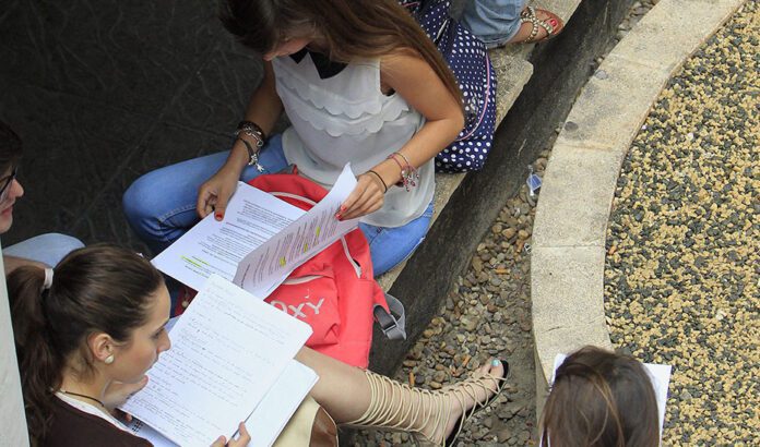 Andalucía ya cuenta con un modelo común de la PAU que asegura la igualdad de oportunidades