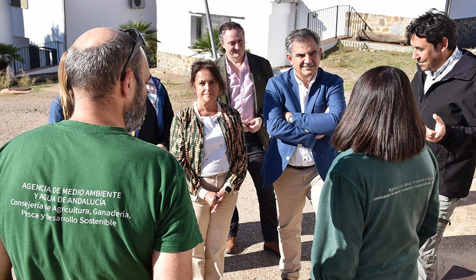 El Centro de Cría de Lince La Olivilla reintroduce en el medio natural 38 cachorros desde 2019