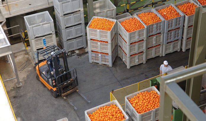 Respaldo de 125,1 millones para las organizaciones de productores de frutas y hortalizas de Andalucía