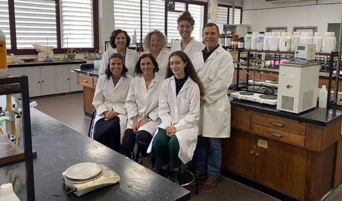 Simulan en un estómago artificial los efectos de un medicamento para combatir una bacteria que provoca cáncer gástrico