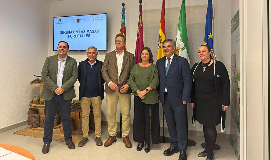 La nueva política forestal de Andalucía, protagonista en la adaptación de los bosques españoles a la sequía y el cambio climático