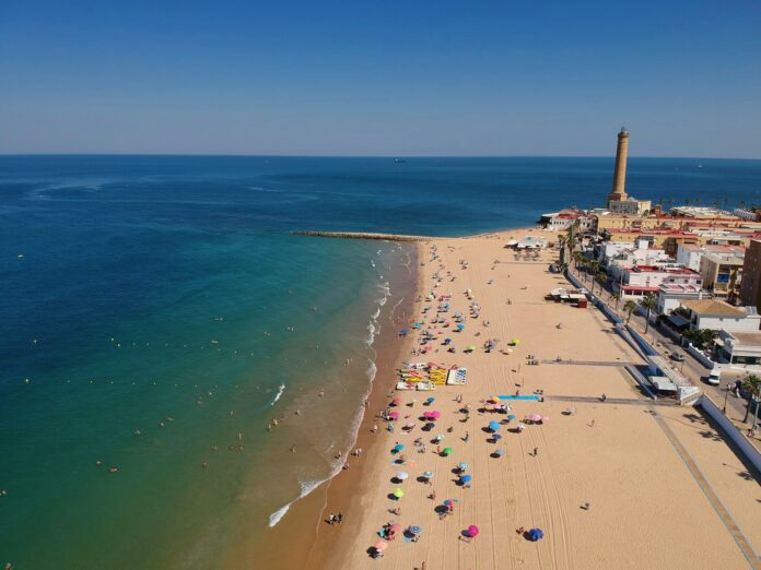 people on beach during daytime