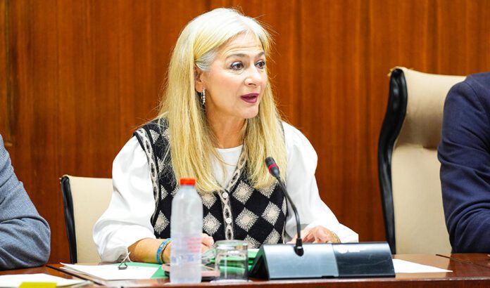 Cultura y Deporte incrementa su presupuesto hasta los 353 millones, un 10% más que en 2024