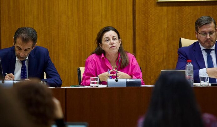 La atención a la diversidad y el apoyo a las familias, ejes del presupuesto de Desarrollo Educativo