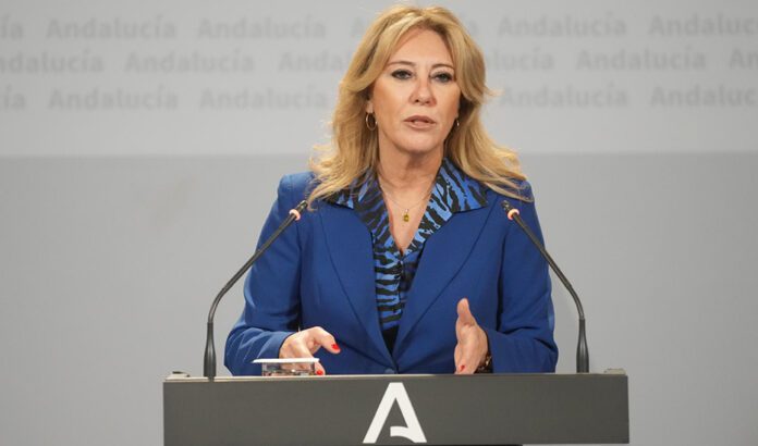 El Consejo de Gobierno activa el decreto de ayudas a entidades locales por la última DANA