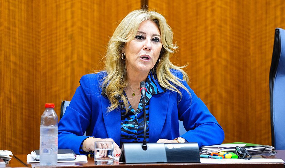 España insiste en que el presupuesto de 2025 avanza en la transformación de Andalucía y eleva el crecimiento económico al 3,5%