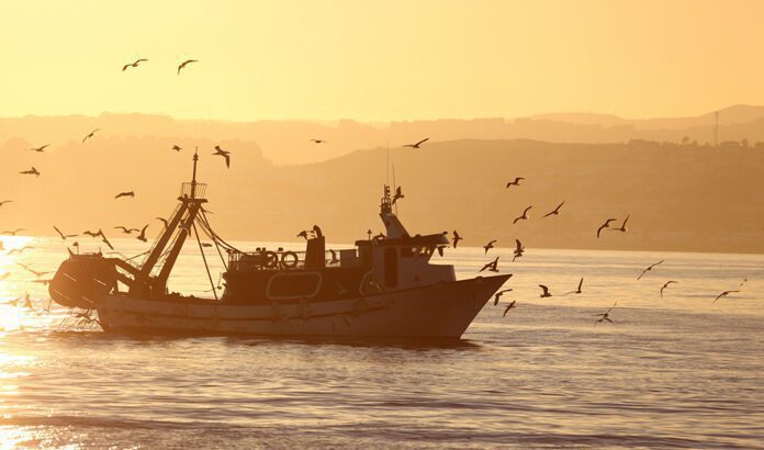 La cofradía de pescadores de Motril, TROPS o el Proyecto ‘Life Agromitiga’, Premios ‘Agricultura y Pesca’ 2024