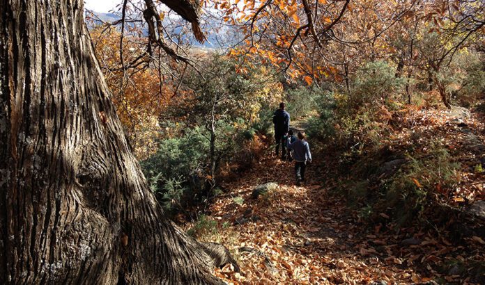 Andalucía potencia el senderismo en espacios naturales protegidos con nuevas herramientas digitales