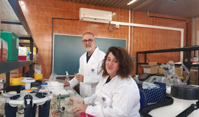 Investigadores andaluces demuestran los beneficios de las bacterias contra el cambio climático en el tomate