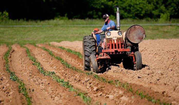 La Junta destina 140 millones a respaldar la labor que realizan 48 grupos de Desarrollo Rural andaluces