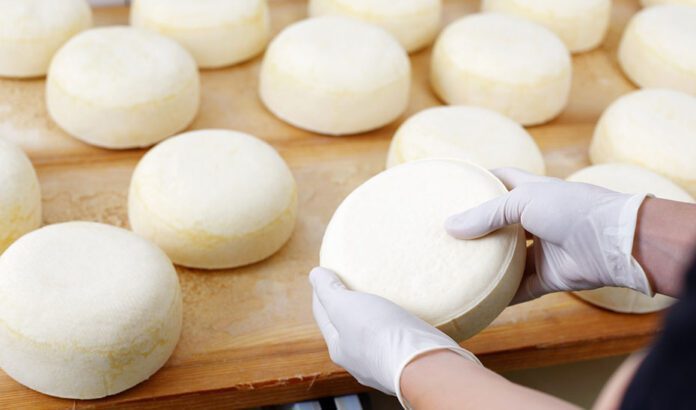 Cuatro queserías andaluzas triunfan en los World Cheese Awards con seis galardones