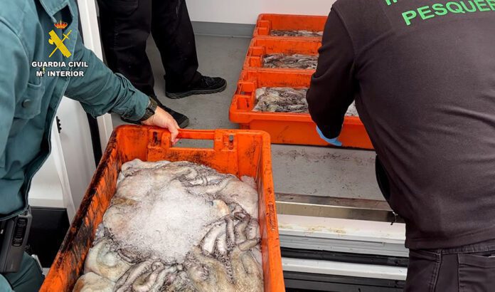 La Inspección Pesquera de la Junta interviene más de 3.200 kilos de pulpo y 200 kilos de almeja en la provincia de Huelva
