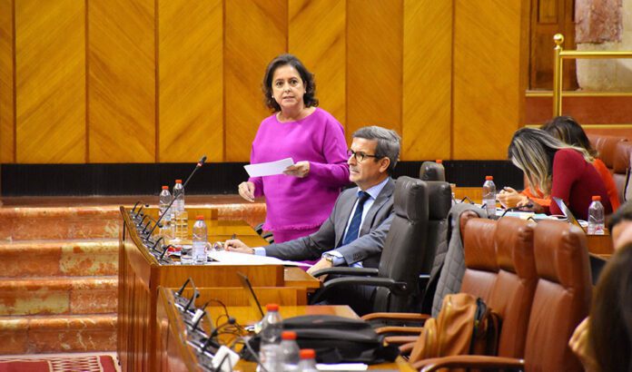 Impulso a la selvicultura y la reforestación con la plantación de 2,5 millones de árboles desde 2019