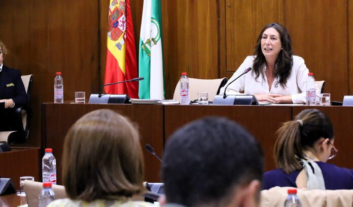 La Junta anuncia 34 trabajadores sociales más para los servicios provinciales de dependencia