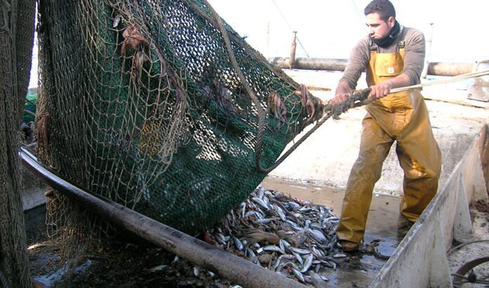 La Junta exige la retirada de la propuesta europea para la pesca: “Faenar 27 días al año es la ruina”