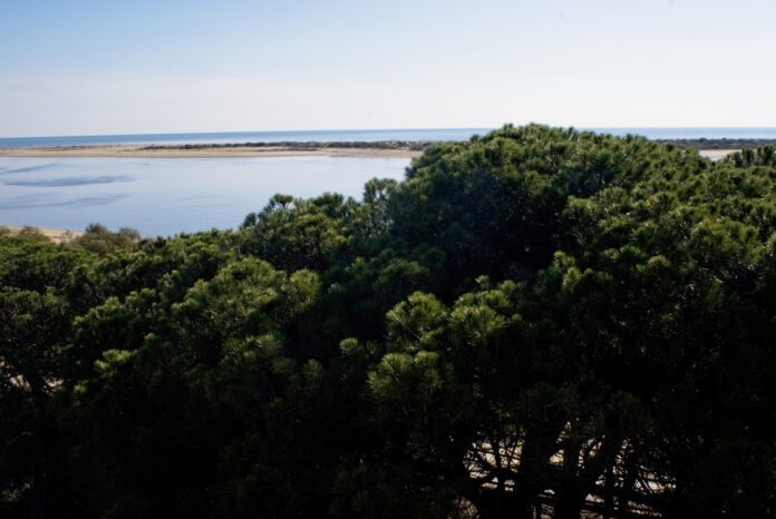 Declaradas zonas especiales de conservación cuatro espacios naturales del litoral de Huelva